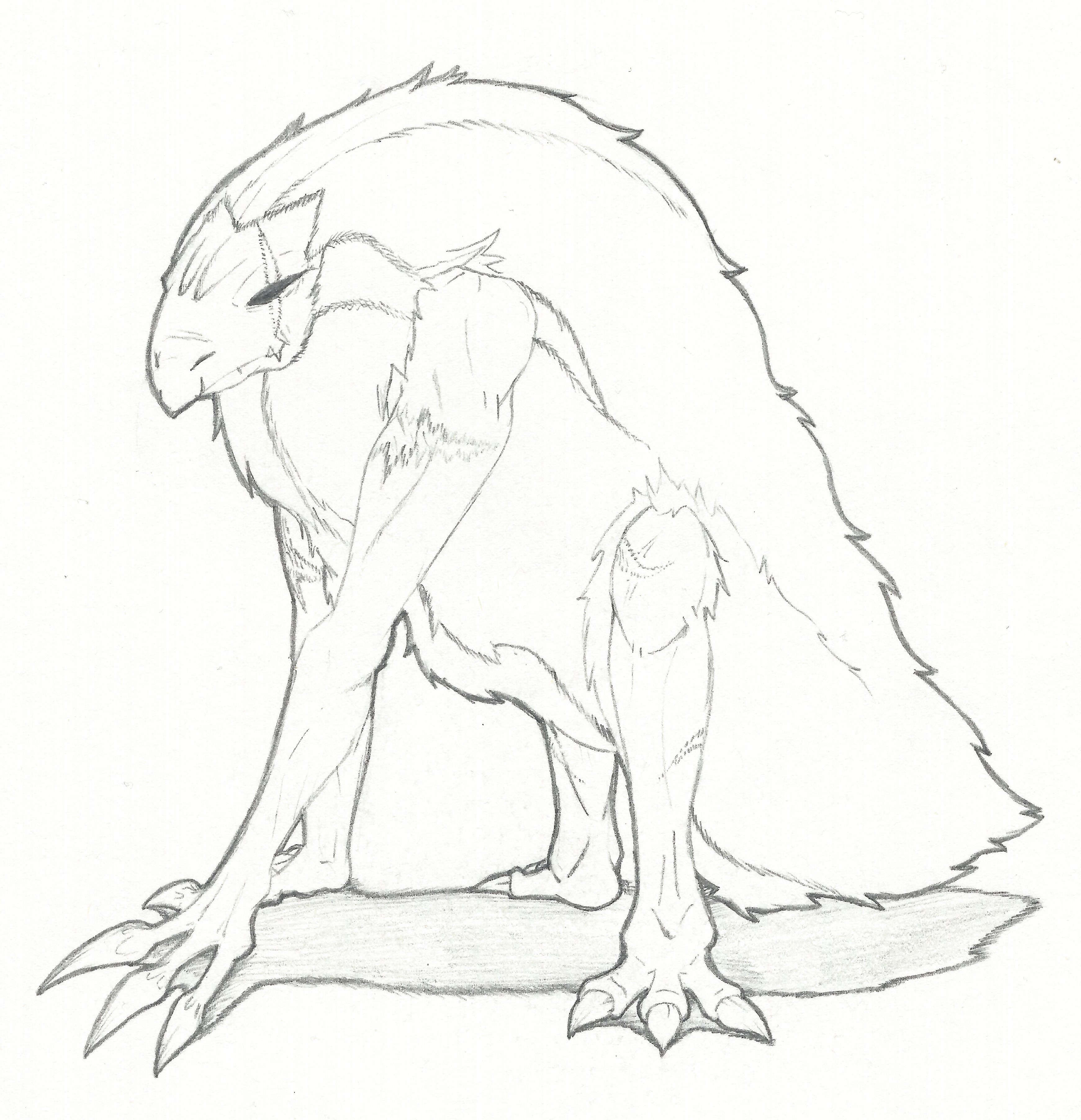 3483x3608 Sketch Grand Mole By Rilyrobo On Newgrounds - Mole Sketch