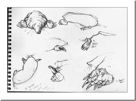 454x338 Woodland Beasts, Birds And Trees Mole Deceased - Mole Sketch