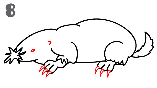 642x363 How To Draw A Mole - Mole Sketch