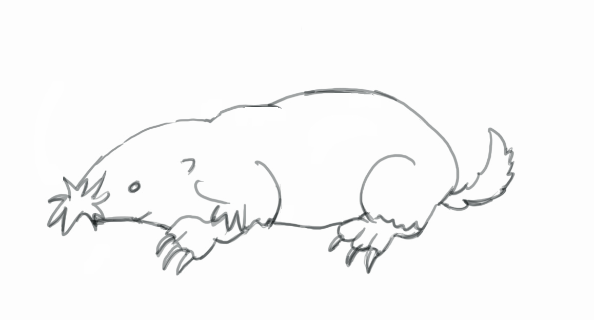 1158x624 How To Draw A Mole - Mole Sketch