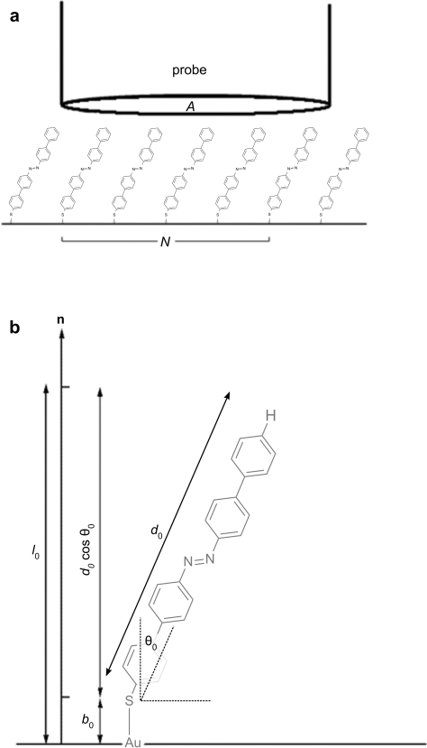 474x829 Sketch Of The Model Used To Derive Sam Stiffness From Q Open I - Molecule Sketch