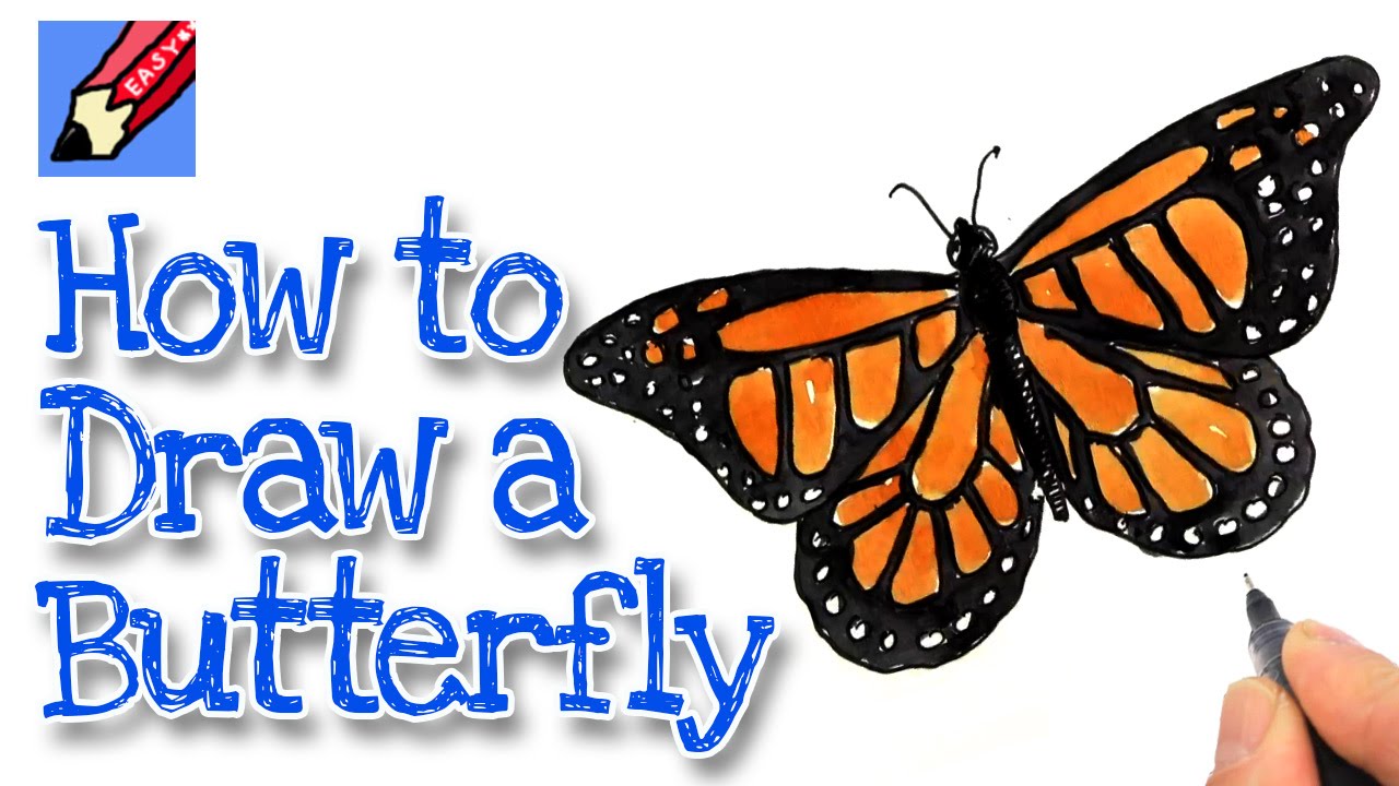 1280x720 How To Draw A Monarch Butterfly Real Easy - Monarch Butterfly Sketch
