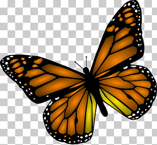 310x287 Monarch Butterfly , Buterfly S Png Clipart Free Cliparts Uihere - Monarch Butterfly Sketch