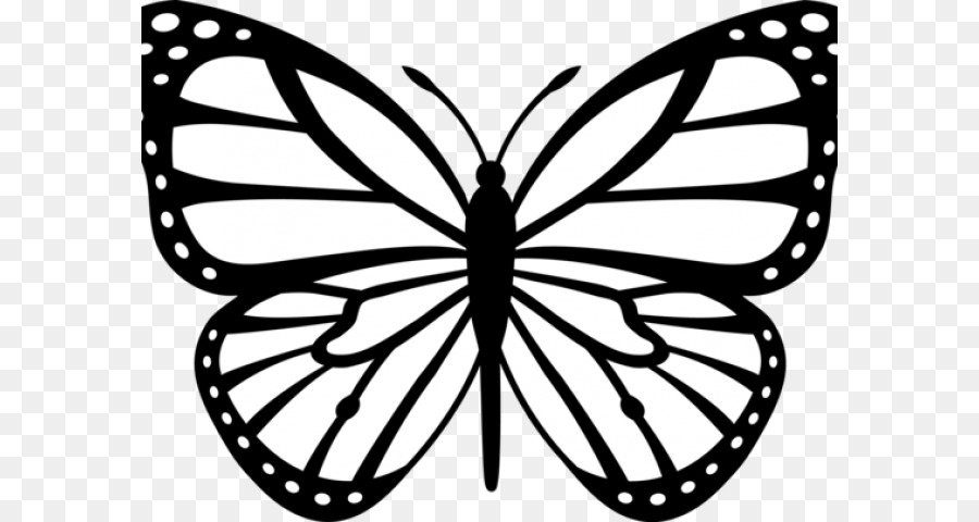 900x480 Monarch Butterfly Black And White Drawing Clip Art - Monarch Butterfly Sketch