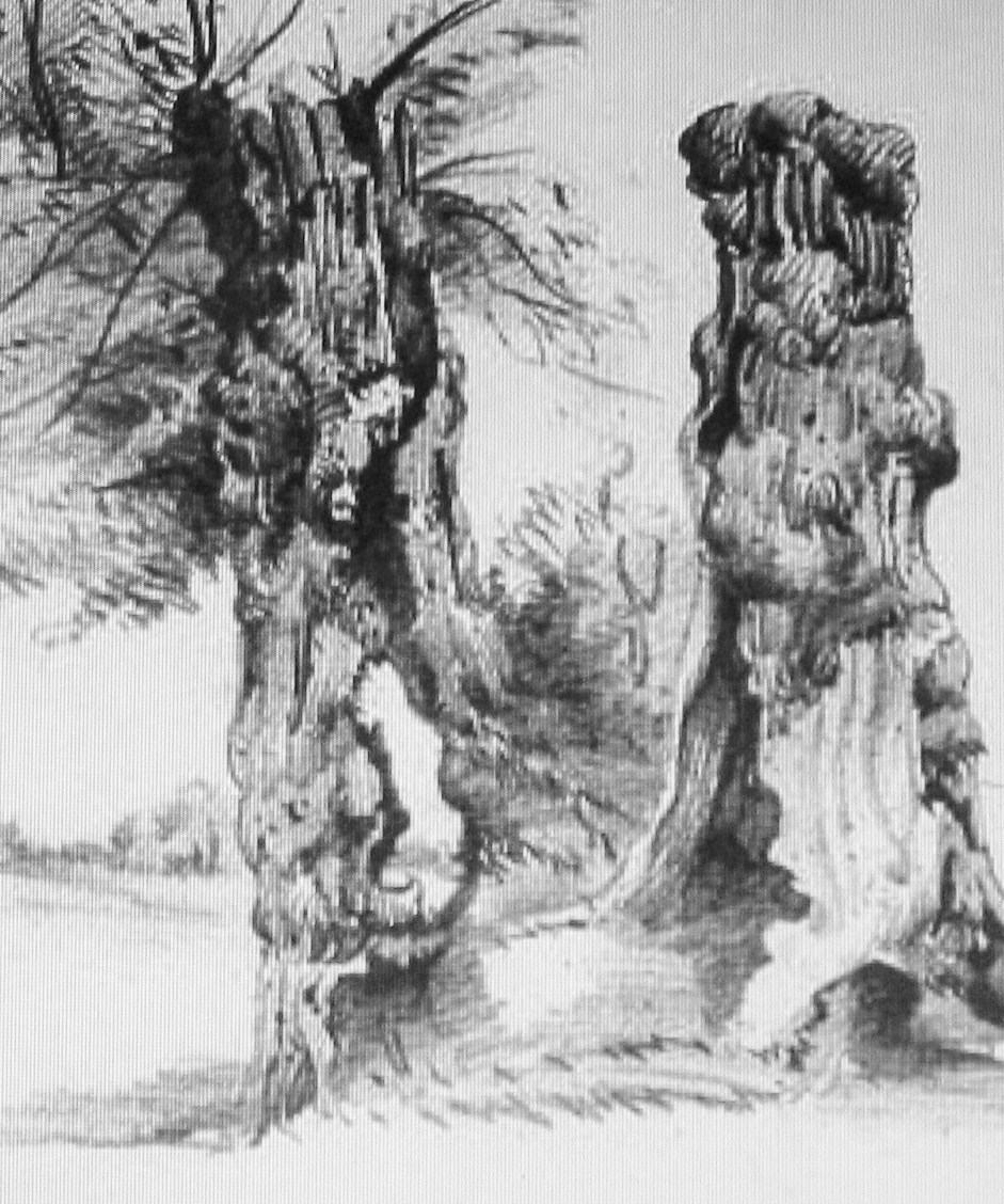 941x1128 Arts The Unknown - Monet Sketches