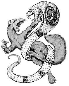 236x296 The 43 Best Mongoose Tattoo Images Mongoose, Cobra - Mongoose Sketch