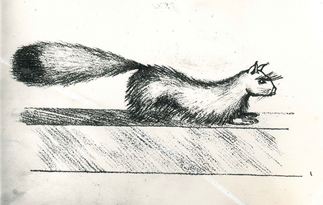 1080x685 Uncanny Images From An Investigation Into Gef, A 1930s Talking - Mongoose Sketch