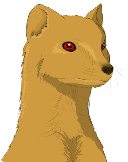 438x554 Daily Sketch - Mongoose Sketch