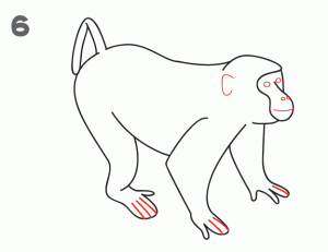 300x231 How To Draw A Monkey - Monkey Sketch