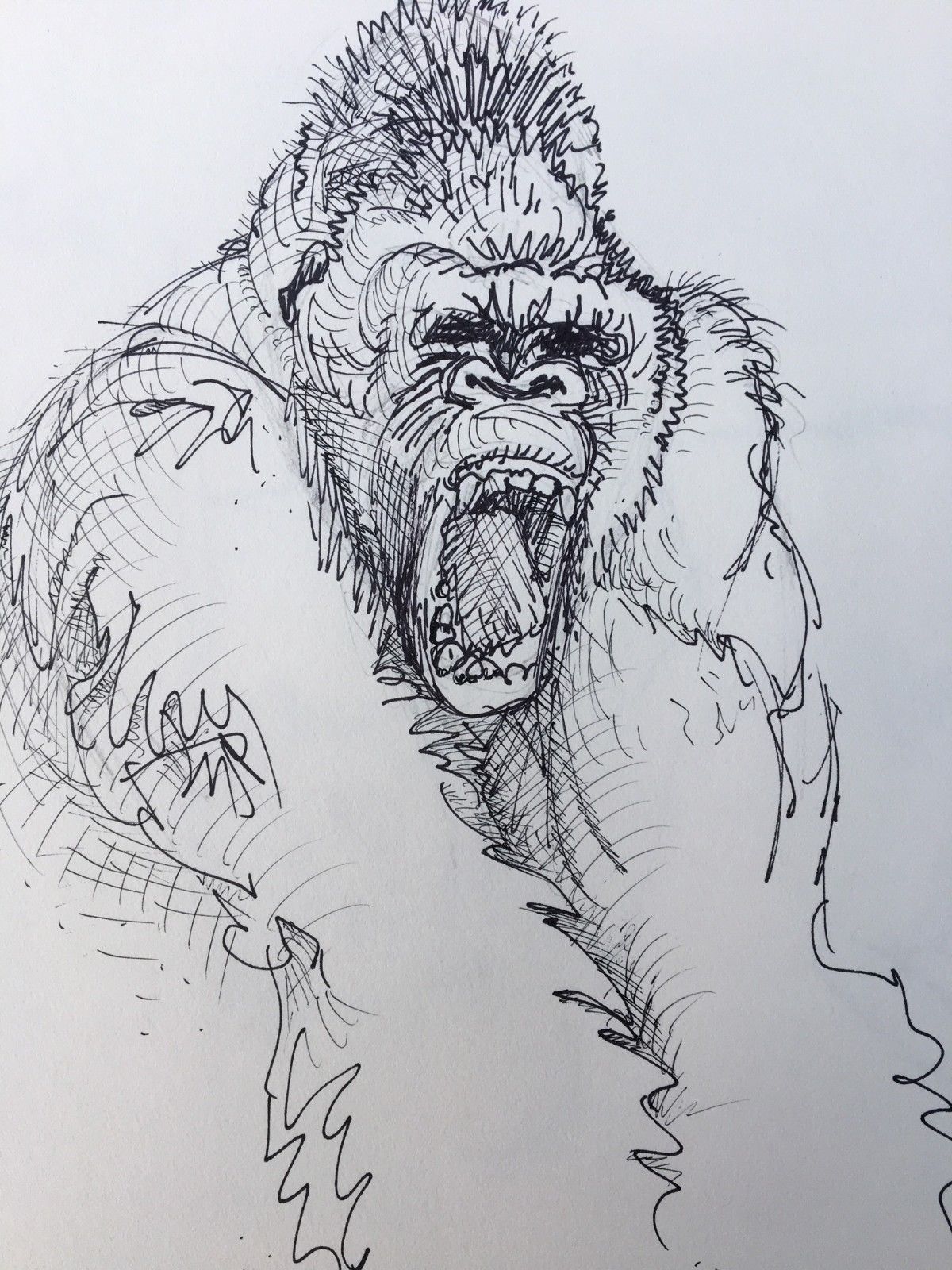 1200x1600 Wall Art Original Ink Animal Monkey Sketch Drawing Gorilla Rampage - Monkey Sketch