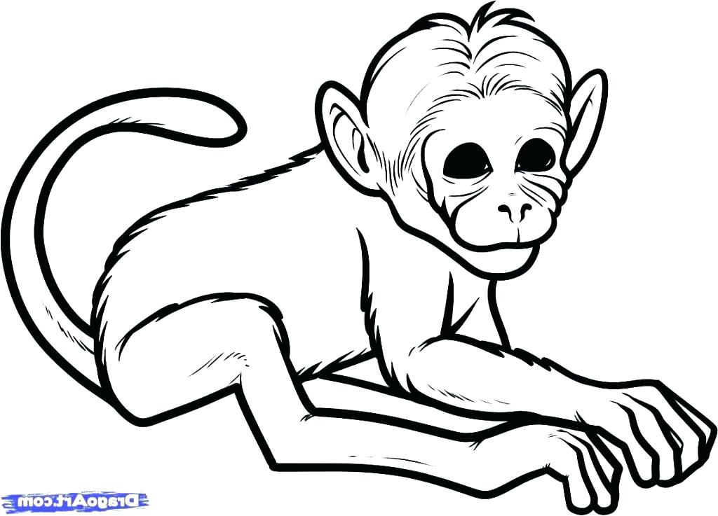 Monkey Sketch Easy at PaintingValley.com | Explore collection of Monkey