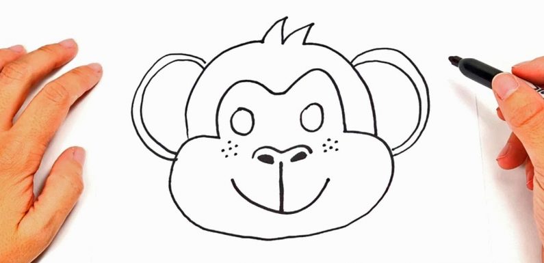 795x385 How To Draw A Monkey Easy Drawings For Kids Cumseface - Monkey Sketch For Kids