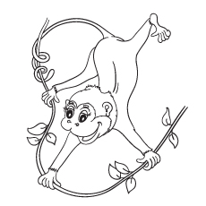 Monkey Sketch For Kids at PaintingValley.com | Explore collection of ...