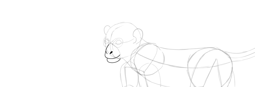 850x291 How To Draw A Monkey Step By Step - Monkey Sketch Images