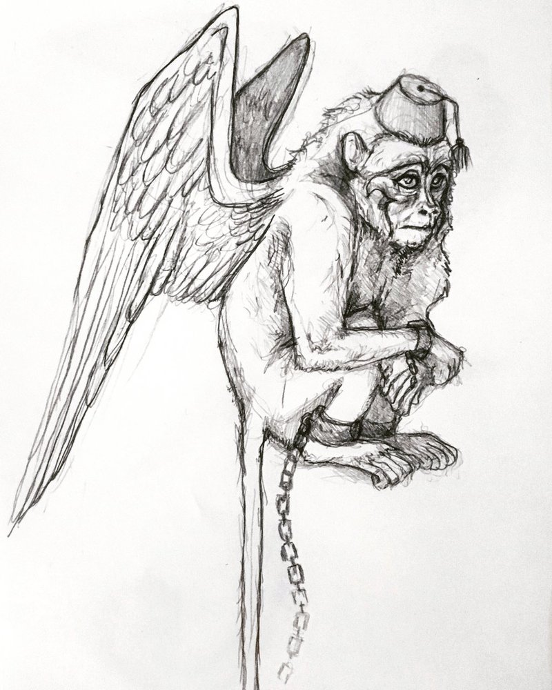 800x1000 Flying Monkey Sketch By Jessburnett - Monkey Sketch Images