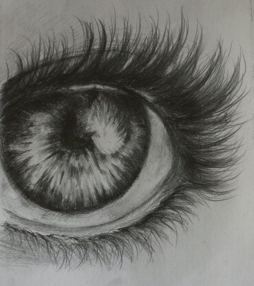500x563 Example Of Monochromatic Pencil Drawing Art - Monochromatic Sketch
