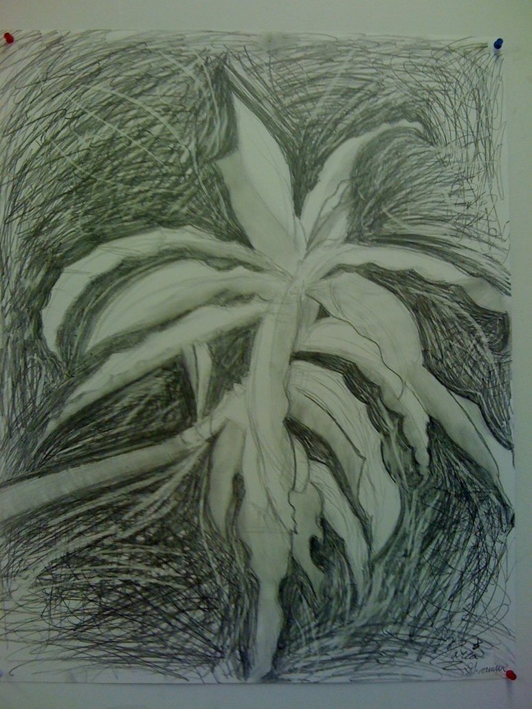 774x1032 Monochromatic Plant Sketch By Thesleepydrummer - Monochromatic Sketch