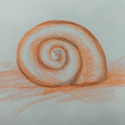 250x250 Sketches - Monochromatic Sketch