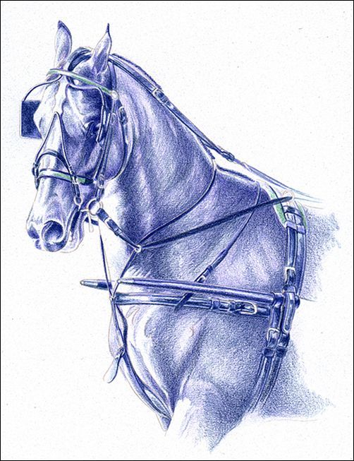 502x653 Colors To Use For A Monochrome Under Drawing - Monochromatic Sketch