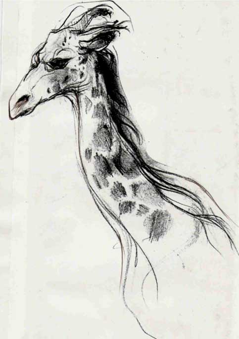 483x687 Sketches - Monochrome Sketches