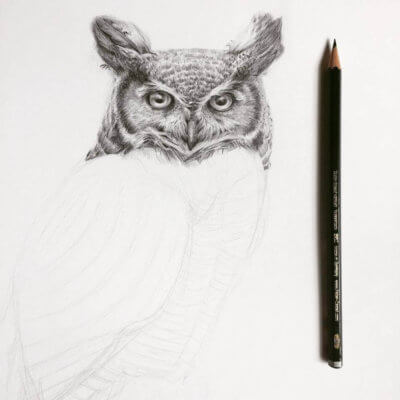 400x400 Sip And Sketch Drawing With Graphite Montana Natural History Center - Montana Sketch