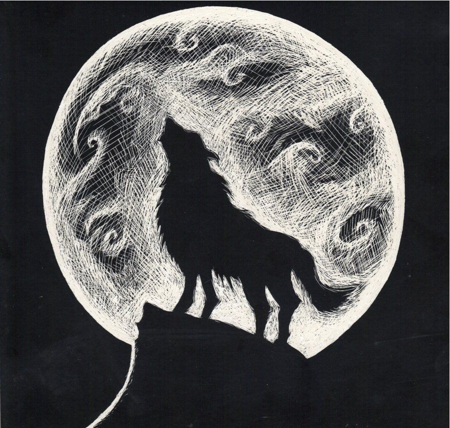 900x856 Wolf Howling - Moon Pencil Sketch