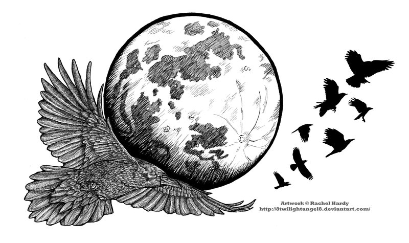 800x475 Raven Moon Ink Sketch By 8twilightangel8 - Moon Sketch