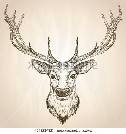 444x470 How To Draw A Moose Head Coloring Pages For Kids Stock Vector Hand - Moose Head Sketch