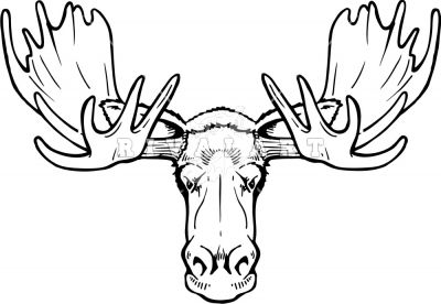 400x276 Moose Head Black And White - Moose Head Sketch