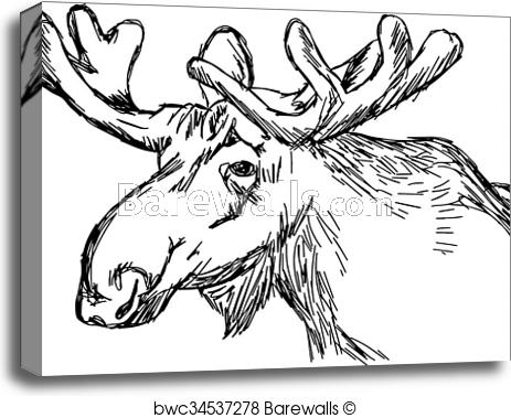 463x379 Canvas Print Of Illustration Vector Doodle Hand Drawn Of Sketch - Moose Head Sketch