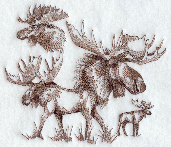 594x510 Machine Embroidery Designs - Moose Sketch