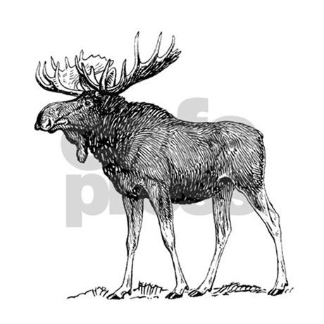 460x460 Moose Sketch Drinking Glass By Animalsandwildlifegifts2 - Moose Sketch