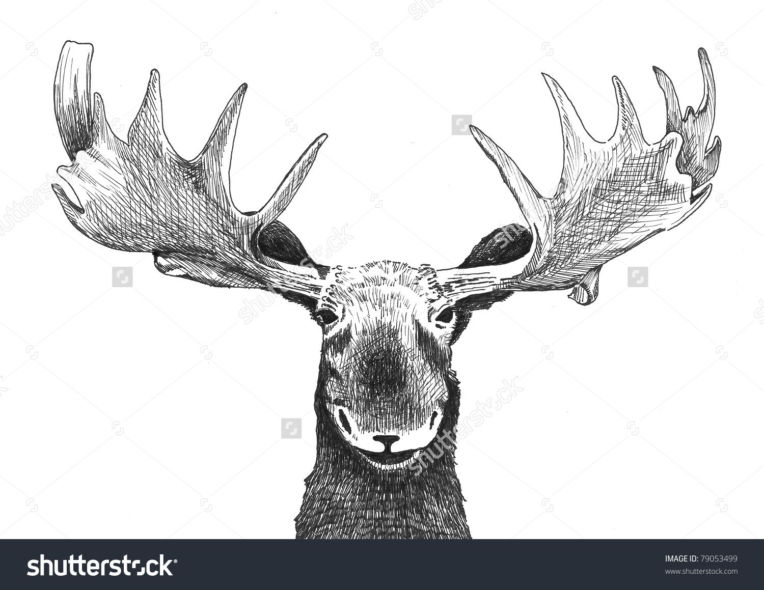 1500x1159 Moose Sketch Art Moose, Sketches And Drawing Ideas - Moose Sketch