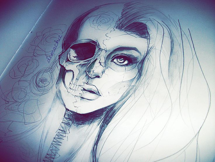 736x554 Skull Sketch By Lisa Moran - Moran Sketch