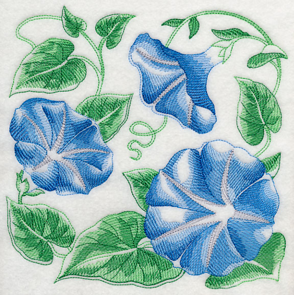 576x579 Machine Embroidery Designs - Morning Glory Sketch
