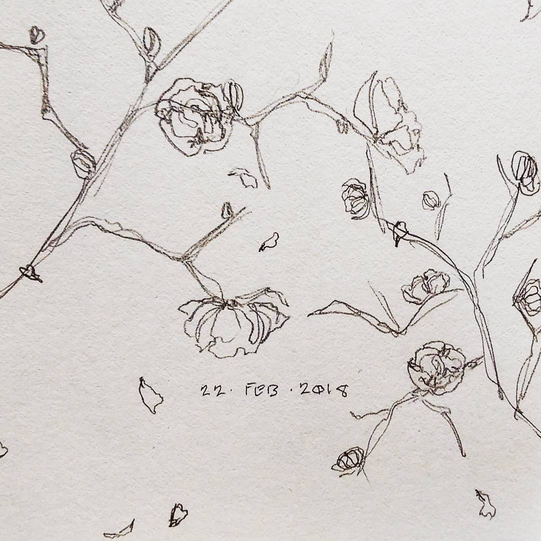 1080x1080 Karisssa - Morning Glory Sketch