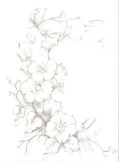 236x323 Sketches Of Morning Glories Art - Morning Glory Sketch