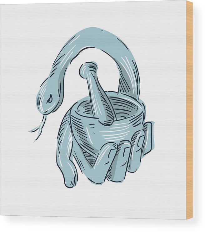656x740 Hand Holding Mortar And Pestle Snake Drawing Wood Print By - Mortar And Pestle Sketch