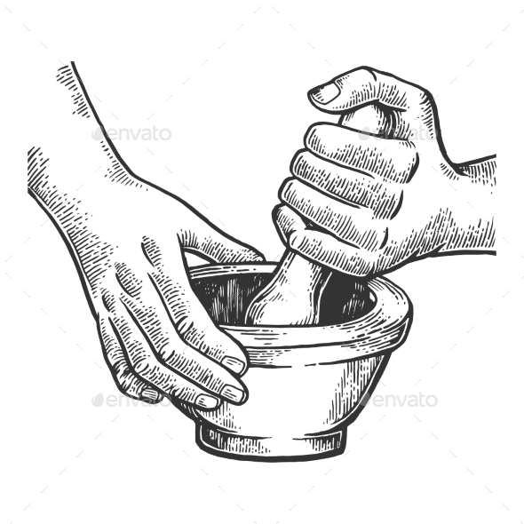590x590 Mortar And Pestle Engraving Vector Illustration By Alexanderpokusay - Mortar And Pestle Sketch