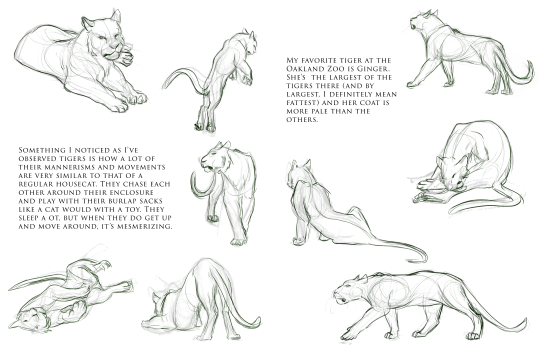 540x349 The Art Of Karolyn Moses Art Drawing And Painting - Moses Sketch