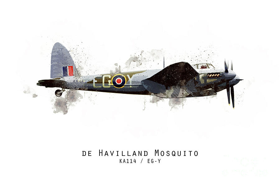 900x600 Mosquito Sketch - Mosquito Sketch