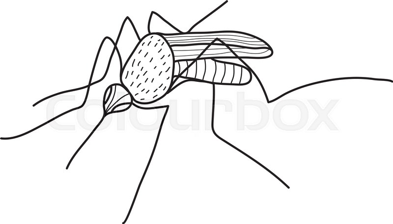 800x457 Mosquito Sketch Hand Drawing, Doodle Style. Vector Illustration - Mosquito Sketch