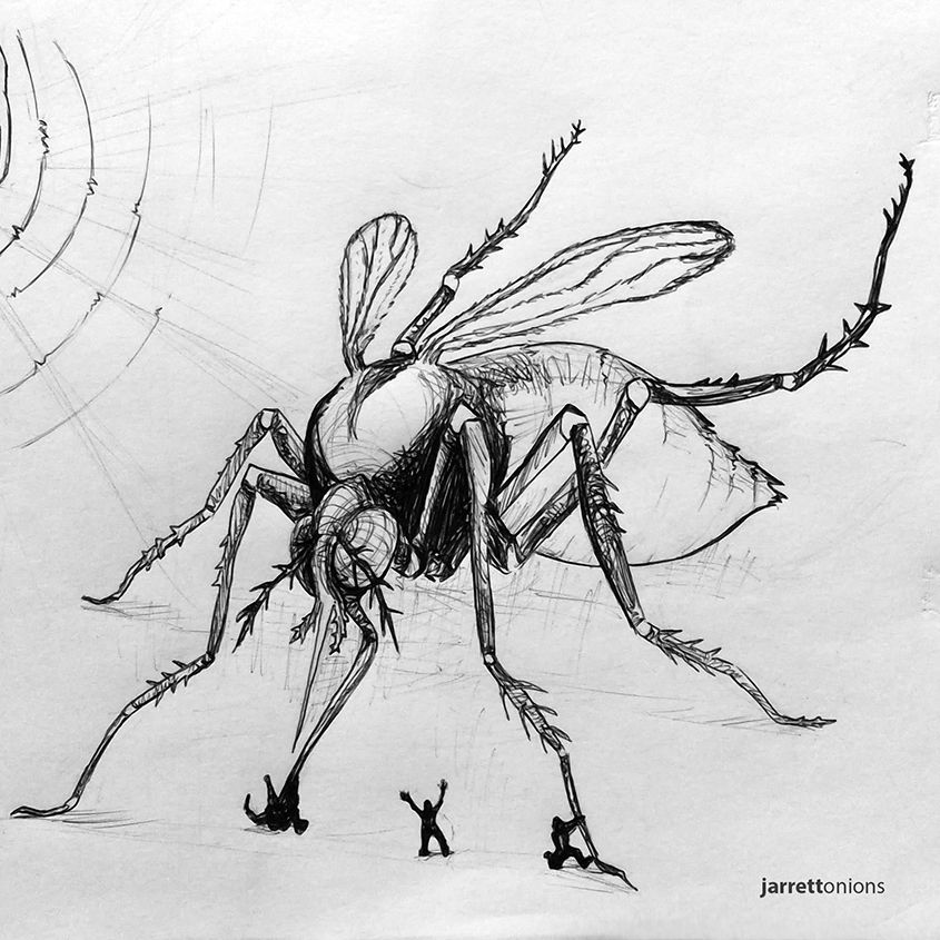 845x845 Having - Mosquito Sketch