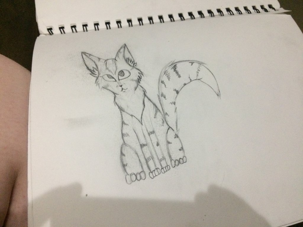 1024x768 Moss Sketch By Ectostatic - Moss Sketch