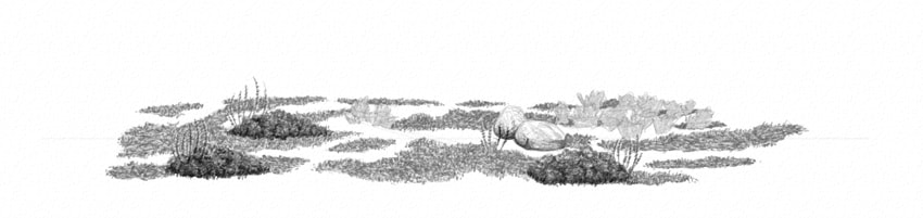 850x201 How To Draw Grass, Ground, And Rocks - Moss Sketch