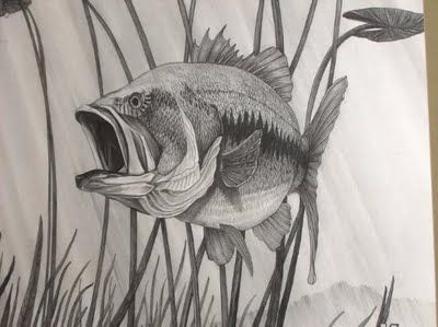400x299 Fish Sketch Option - Most Sketch