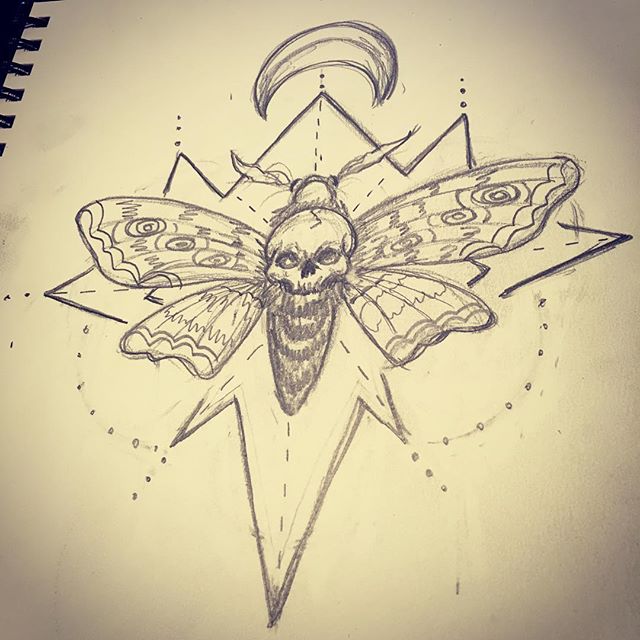 640x640 Death Moth Sketch By Monteyroo - Moth Sketch