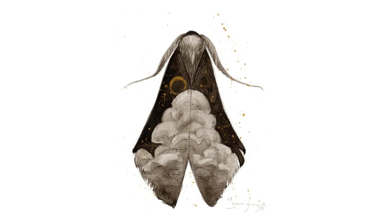 1280x720 Moth Sketch - Moth Sketch