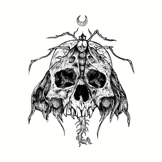 630x630 Moth Skull - Moth Sketch