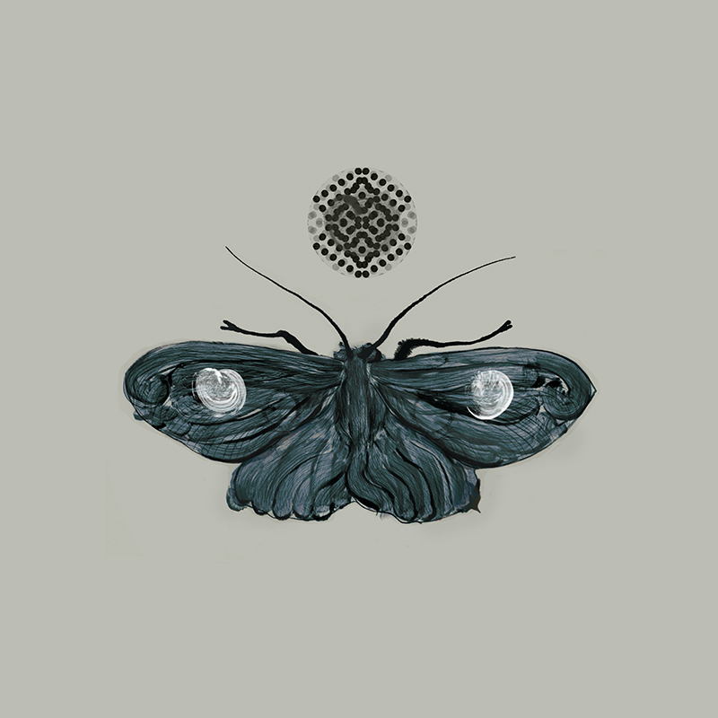 800x800 Moth Sketch At Home In Space - Moth Sketch